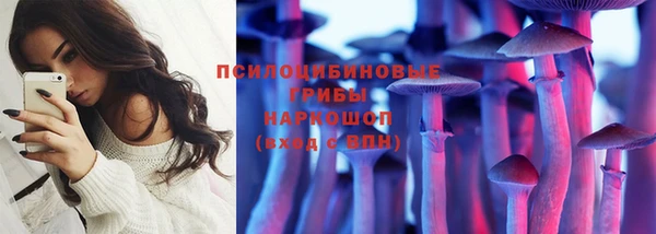 дмт Алексеевка
