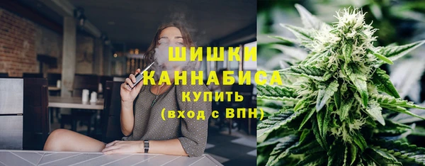 шишки Алзамай
