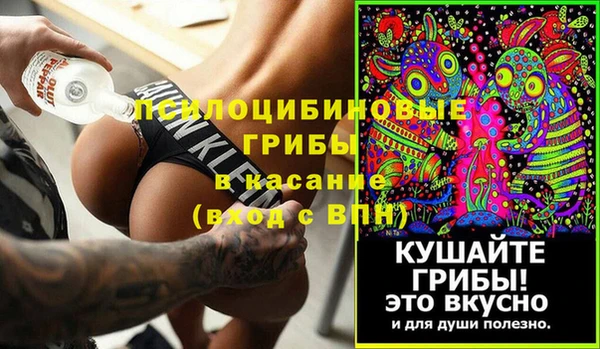 шишки Алзамай