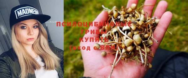 первитин Алексин