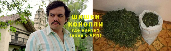 шишки Алзамай