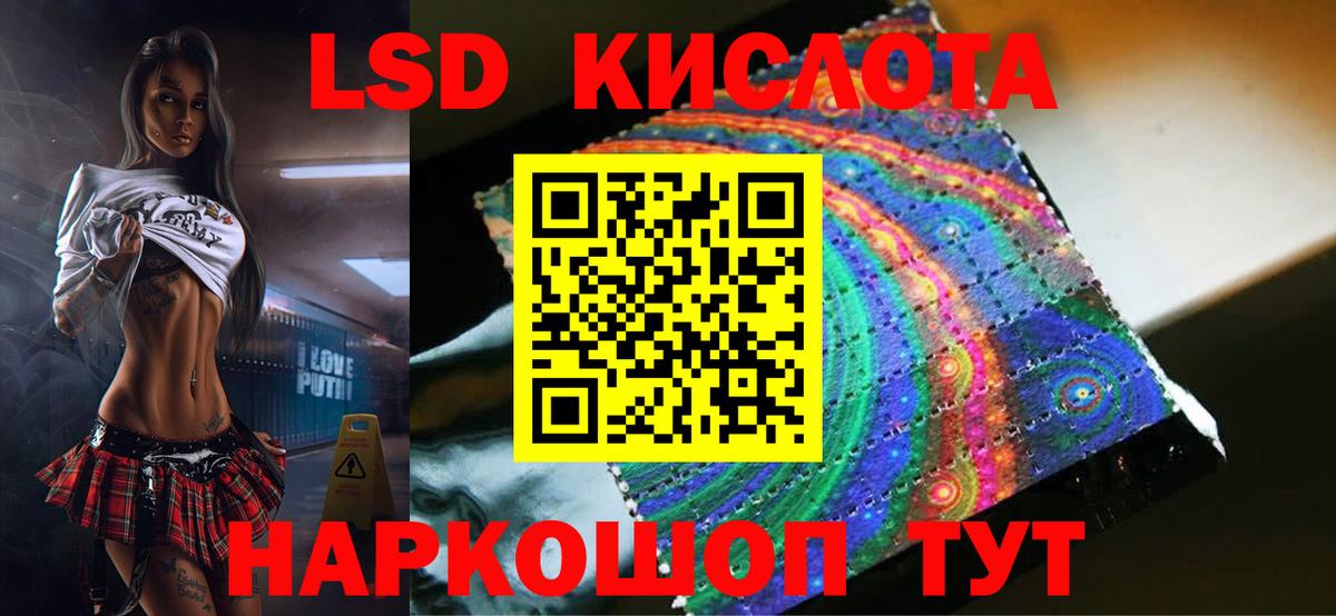 А ПВП Кудрово