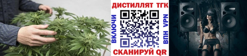 купить наркотики цена  Кудрово  Дистиллят ТГК вейп 
