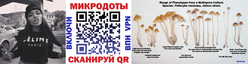 Галлюциногенные грибы ЛСД  Кудрово 
